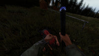 DayZ