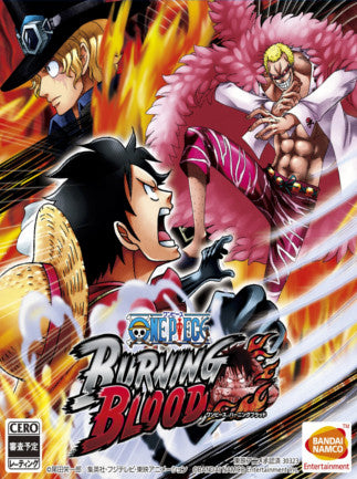 One Piece Burning Blood | PC: Steam | UNITED STATES