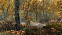 The Elder Scrolls V: Skyrim