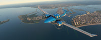Microsoft Flight Simulator