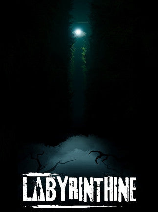 Labyrinthine | PC: Steam | GLOBAL