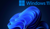 Microsoft Windows 11 Pro N