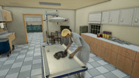 Animal Doctor