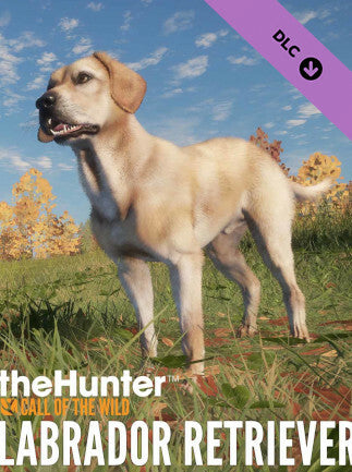 theHunter: Call of the Wild - Labrador Retriever