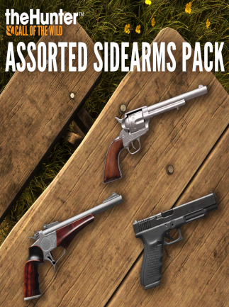 TheHunter: Call of the Wild - Assorted Sidearms Pack (PC) - Steam Key  - EU