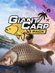 Fishing Sim World: Pro Tour - Giant Carp Pack (PC) - Steam Key - GLOBAL