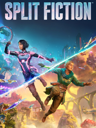 Split Fiction