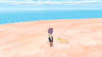 Calico: Neat Things