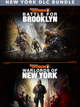 Tom Clancy's The Division 2 - New York DLC Bundle (Xbox Series X/S) - Xbox Live Key - EUROPE