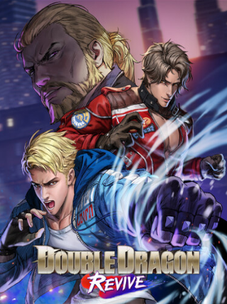 Double Dragon Revive