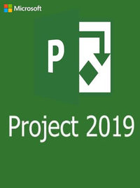 Microsoft Project 2019 Professional