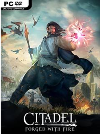 Citadel: Forged with Fire