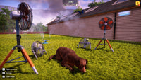 Animal Shelter 2