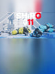 SHiRO 011 | PC: Steam | GLOBAL