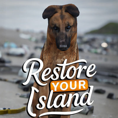 Restore Your Island | PC: Steam | GLOBAL