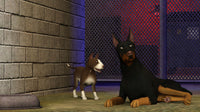 The Sims 3 Pets