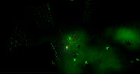 Orbs