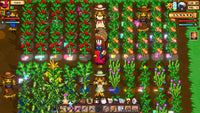 Cornucopia