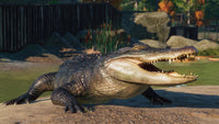 Planet Zoo North America Animal Pack