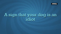 Quiplash 2 InterLASHional